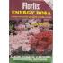 energy rosa 1000 gr
