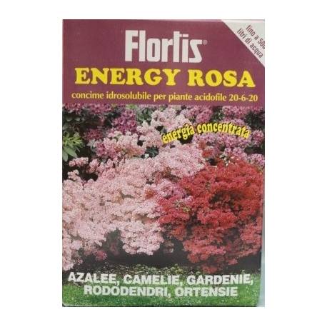 energy rosa 1000 gr